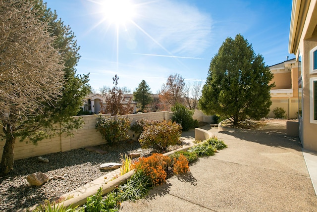 view of yard with a patio