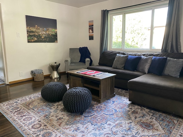 living room with baseboards and wood finished floors