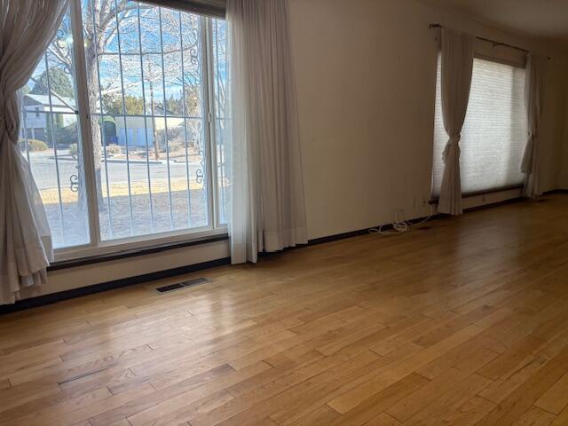 spare room with a baseboard radiator, a healthy amount of sunlight, and light hardwood / wood-style flooring