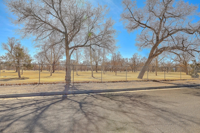 view of yard with a rural view