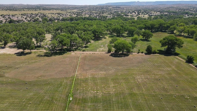 birds eye view of property with a rural view