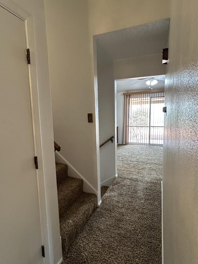 1832 Figueroa Ct NE, Albuquerque, NM 87112 - photo 11