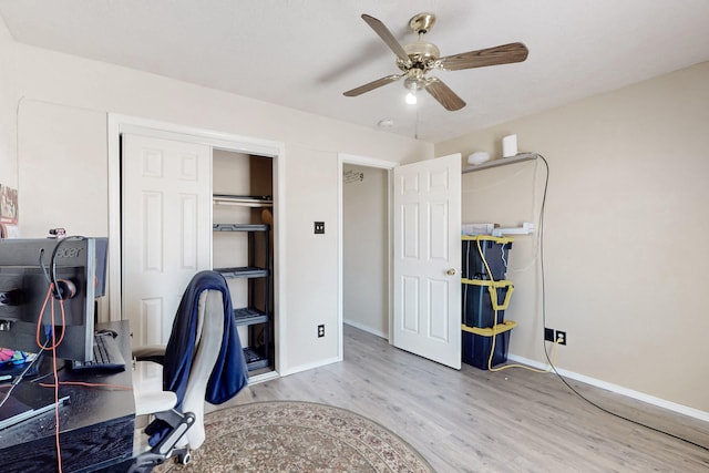 office featuring light hardwood / wood-style flooring and ceiling fan