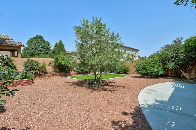 view of yard featuring a patio area and a fenced backyard