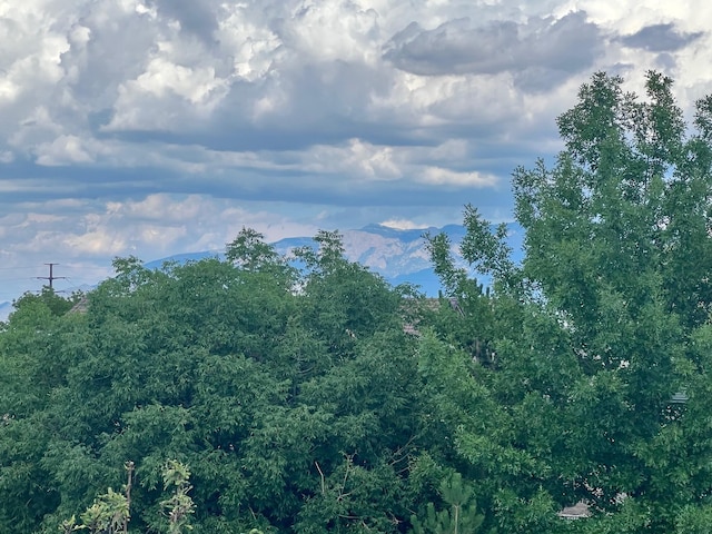 view of landscape with a mountain view