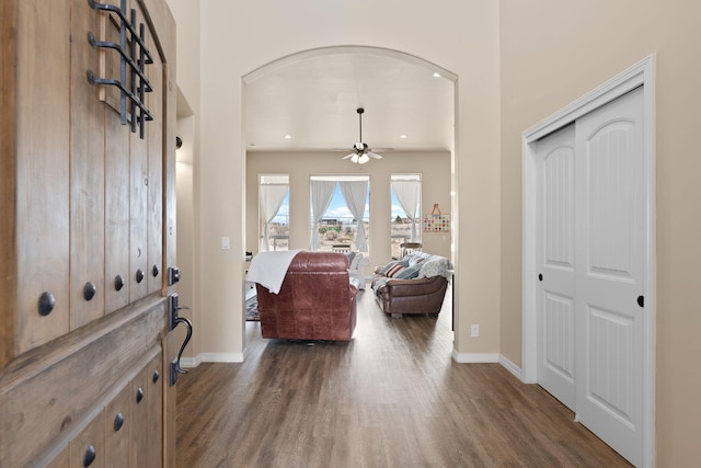 entrance foyer with ceiling fan and dark hardwood / wood-style flooring