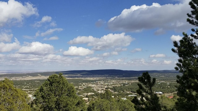 Listing photo 3 for 84 Sandia Mountain Ranch Dr, Tijeras NM 87059