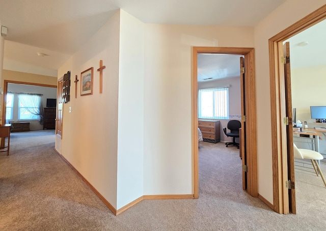 corridor with light carpet, baseboards, and a healthy amount of sunlight