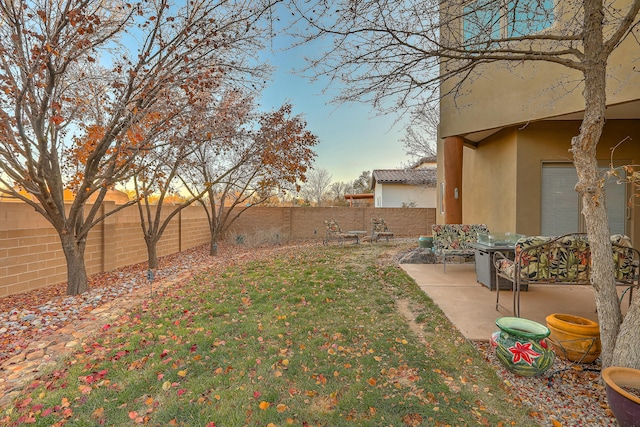 view of yard with a patio area and a fenced backyard