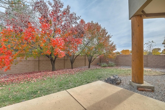 view of yard featuring a patio area and a fenced backyard