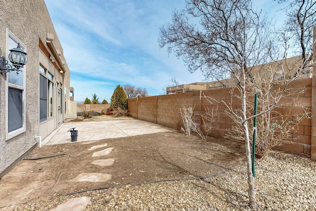 view of yard featuring a fenced backyard and a patio