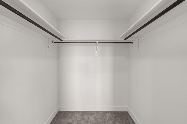 392 Pecos Loop SE, Rio Rancho, NM 87124 - spacious closet featuring carpet floors