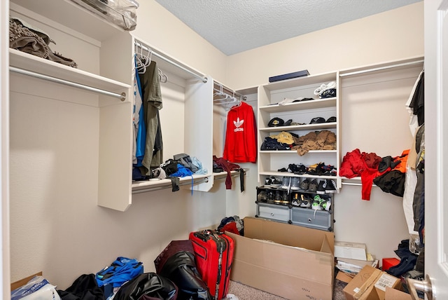 1735 Garden Way SW, Albuquerque, NM 87105 - view of spacious closet