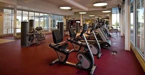 gym featuring a wall of windows