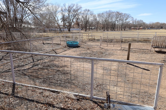 view of yard featuring a rural view