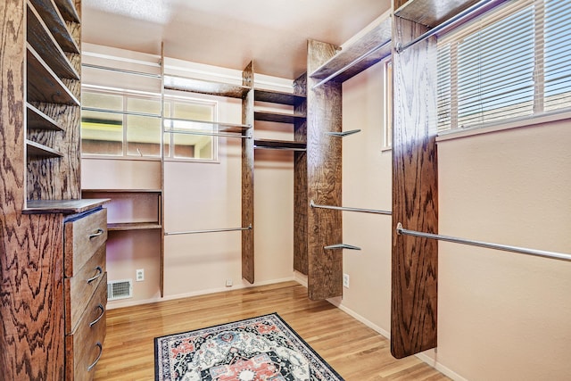 spacious closet featuring visible vents and light wood-style floors