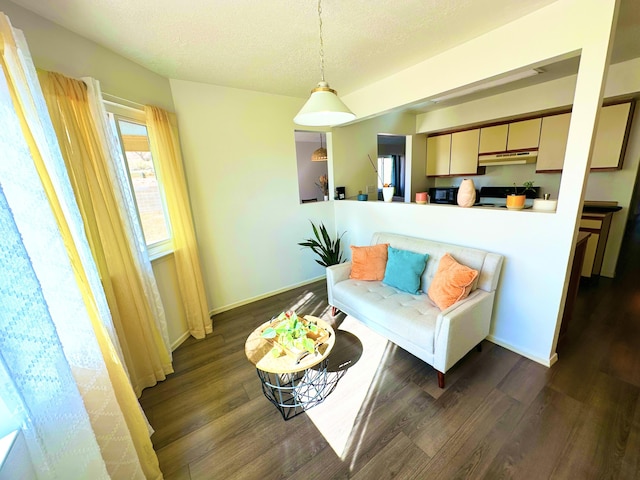 living area with dark wood-style floors, a textured ceiling, and baseboards