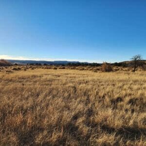 6-14 Banco Rd, La Jara, NM 87027 - photo 14