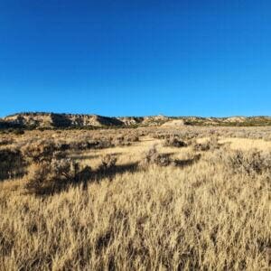6-14 Banco Rd, La Jara, NM 87027 - photo 13