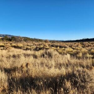 6-14 Banco Rd, La Jara, NM 87027 - photo 12