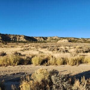 6-14 Banco Rd, La Jara, NM 87027 - photo 11