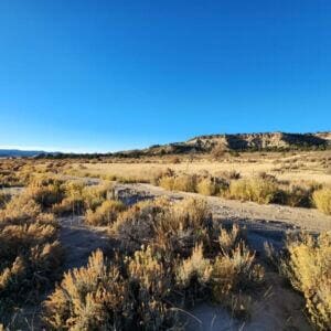 6-14 Banco Rd, La Jara, NM 87027 - photo 10