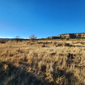 6-14 Banco Rd, La Jara, NM 87027 - photo 9