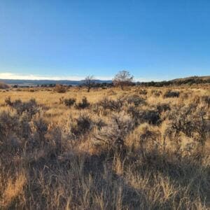 6-14 Banco Rd, La Jara, NM 87027 - photo 8