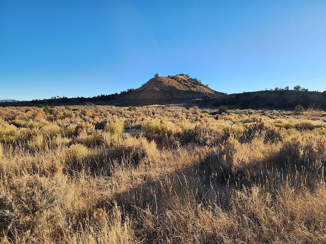 6-14 Banco Rd, La Jara, NM 87027 - photo 4