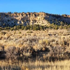 6-14 Banco Rd, La Jara, NM 87027 - photo 3