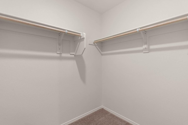 walk in closet featuring carpet