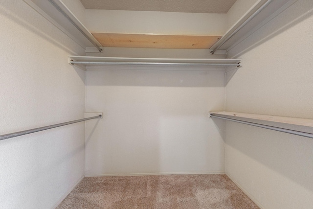 9801 Basha St NW, Albuquerque, NM 87114 - walk in closet featuring carpet floors