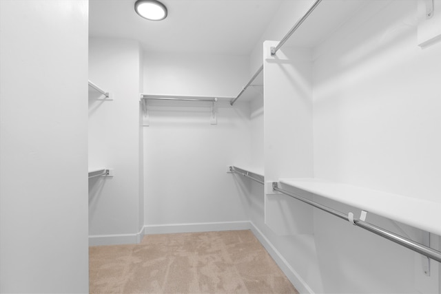 6052 Nauman Dr SE, Albuquerque, NM 87106 - walk in closet featuring light colored carpet
