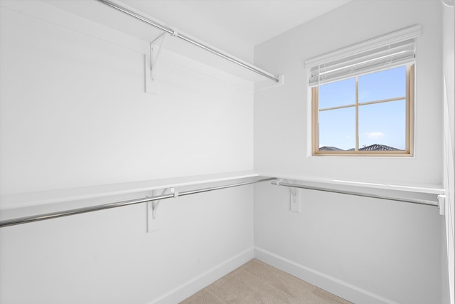 6052 Nauman Dr SE, Albuquerque, NM 87106 - spacious closet featuring light carpet