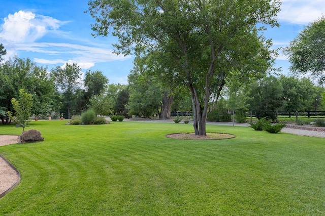 1201 Bona Terra Loop NW, Albuquerque, NM 87114 - photo 42