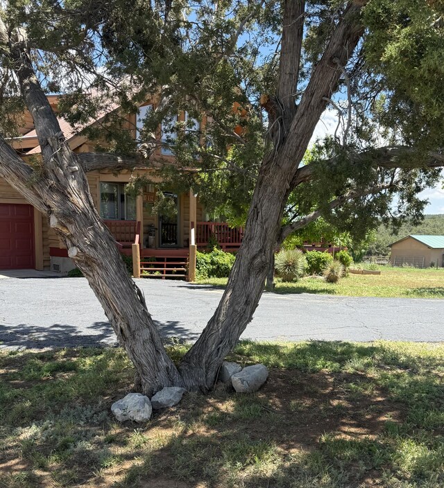 21 Sweenhart Dr, Tijeras, NM 87059 - photo 10