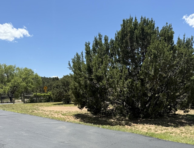21 Sweenhart Dr, Tijeras, NM 87059 - photo 68