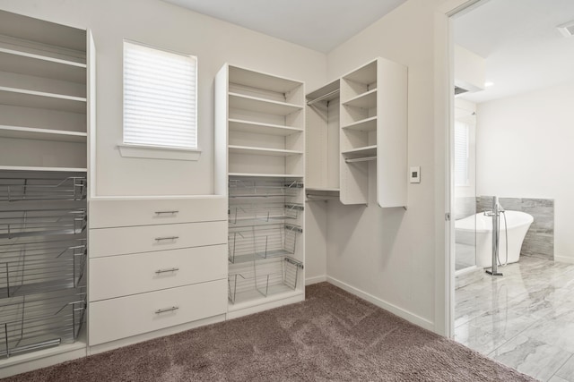 walk in closet featuring carpet floors and visible vents