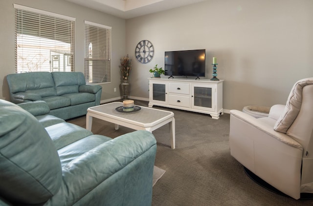 living area featuring baseboards and dark colored carpet