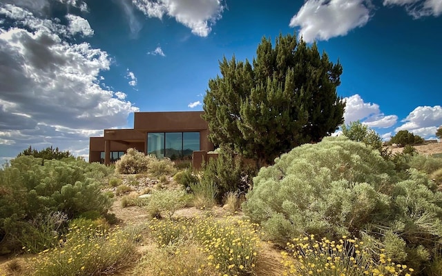 rear view of property with stucco siding