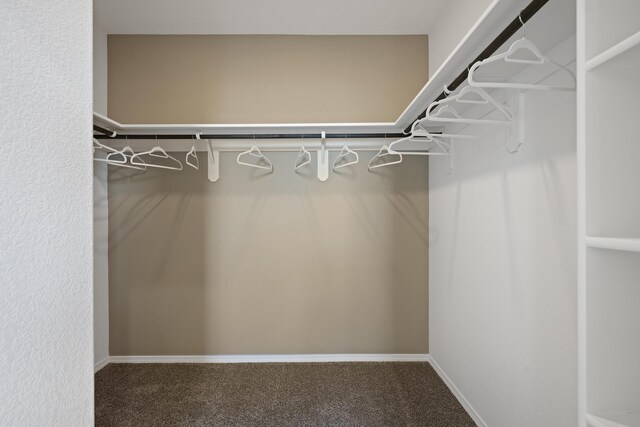 walk in closet featuring carpet floors