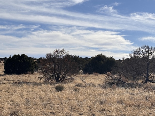 Pinon Spgs, Magdalena NM, 87825 land for sale