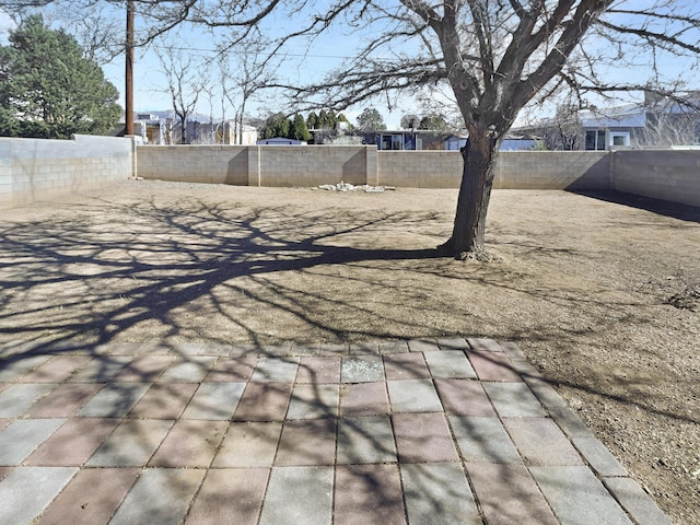 view of yard with a fenced backyard