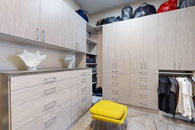 9020 Retablo Rd NW, Albuquerque, NM 87120 - view of walk in closet
