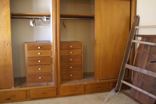 view of closet