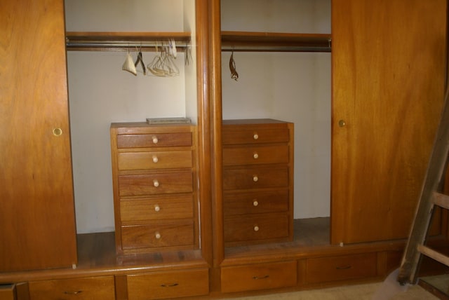 view of closet