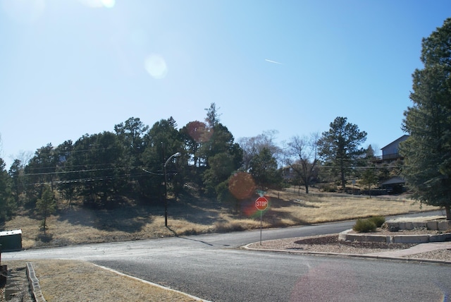 view of road featuring curbs and traffic signs