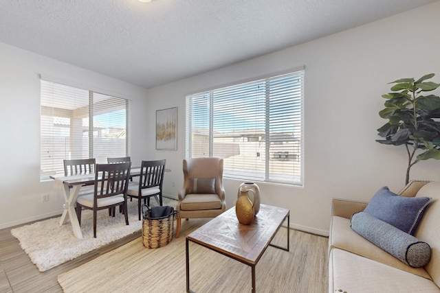 living room featuring a textured ceiling, wood finished floors, and baseboards