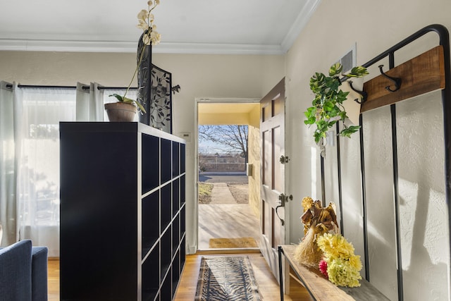 608 Amherst Dr SE, Albuquerque, NM 87106 - photo 37
