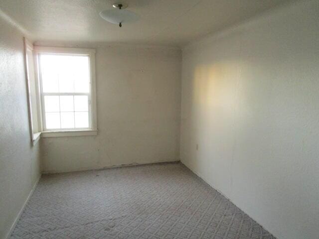 spare room with light colored carpet